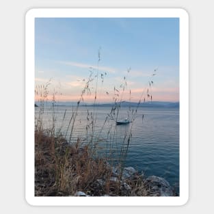 Serene Ocean Sunset: Boat Amidst Weeds Sticker